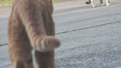 v2版本全新发布! featured image